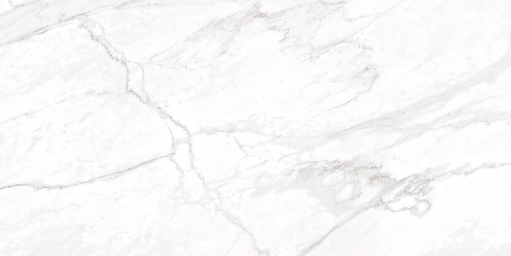 Grassi White (Polished & Honed) Porcelain