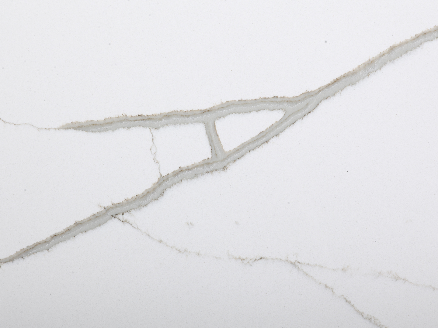 Calacatta Belleza Nuovo Quartz