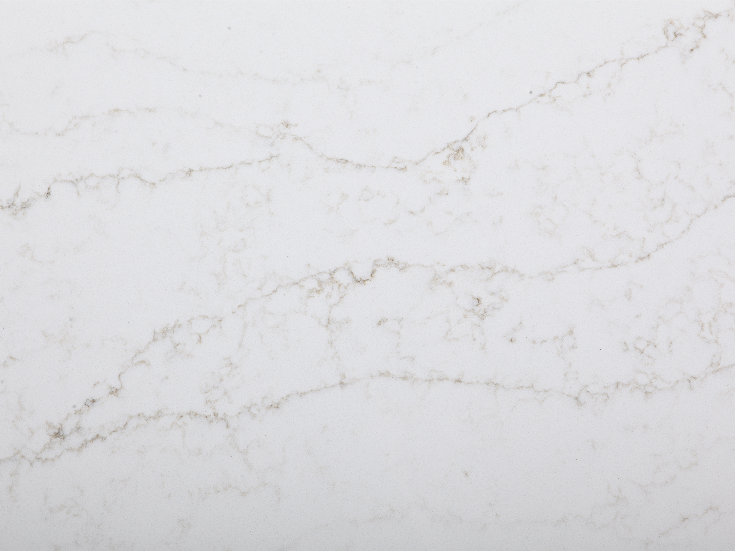 Calacatta Dorado Nuovo Quartz