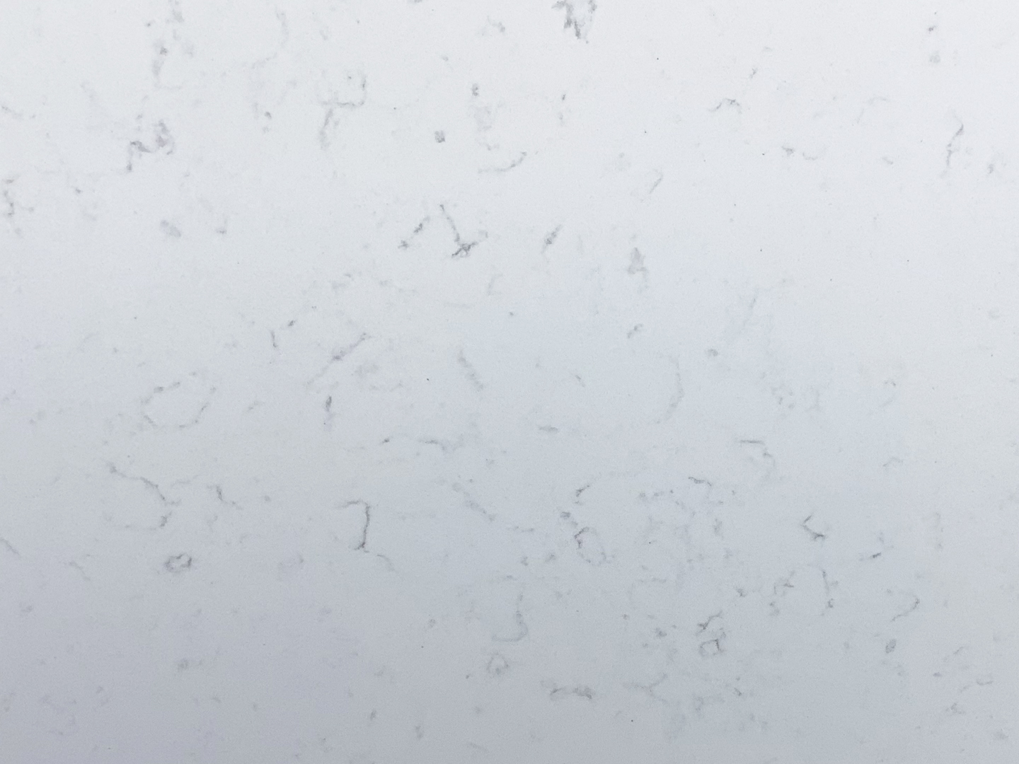 Carrara Venato Quartz
