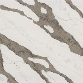 Safari Delta Quartz